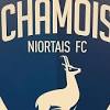 Chamois Niortais